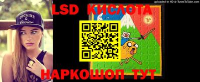 прущие крисы Абакан