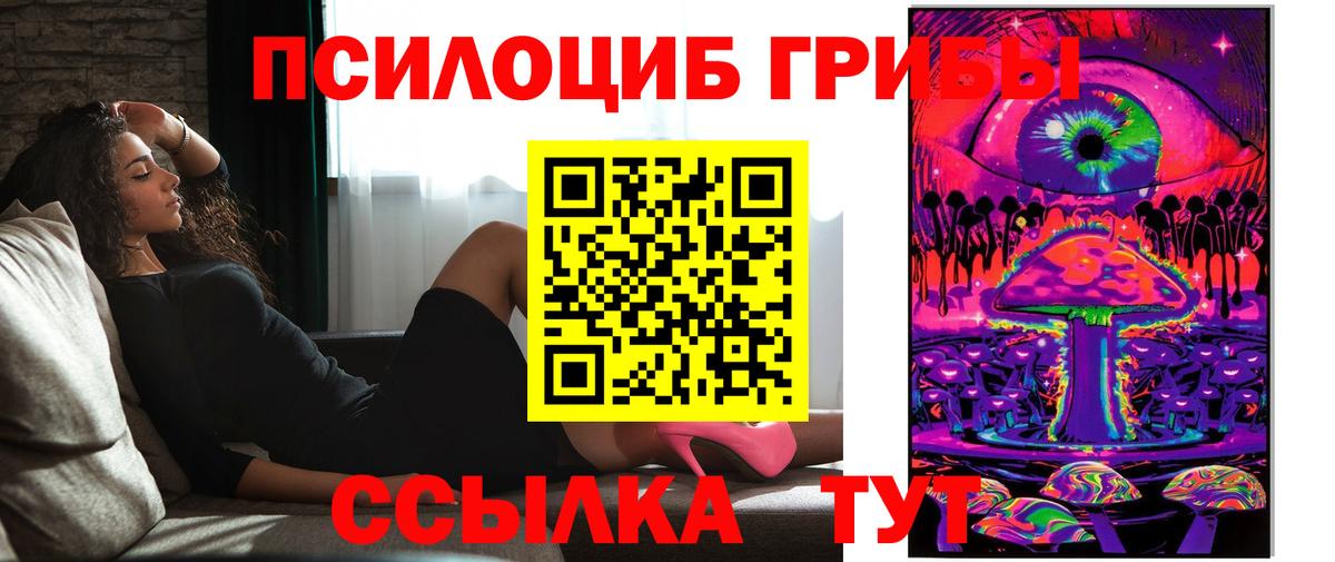 Псилоцибиновые грибы GOLDEN TEACHER Алатырь