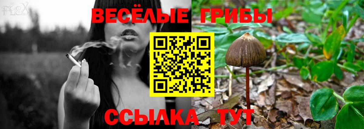 Псилоцибиновые грибы мицелий  Галлюциногенные грибы MAGIC MUSHROOMS  где найти   Вход с VPN  Алатырь 
